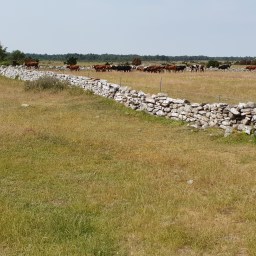 Hur skriver man om en massaker?